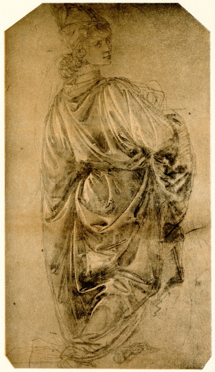 Estudio de un joven de Sandro Botticelli