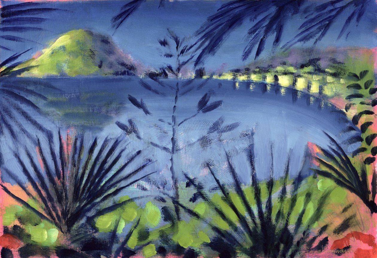 A través del Lago de Sara Hayward