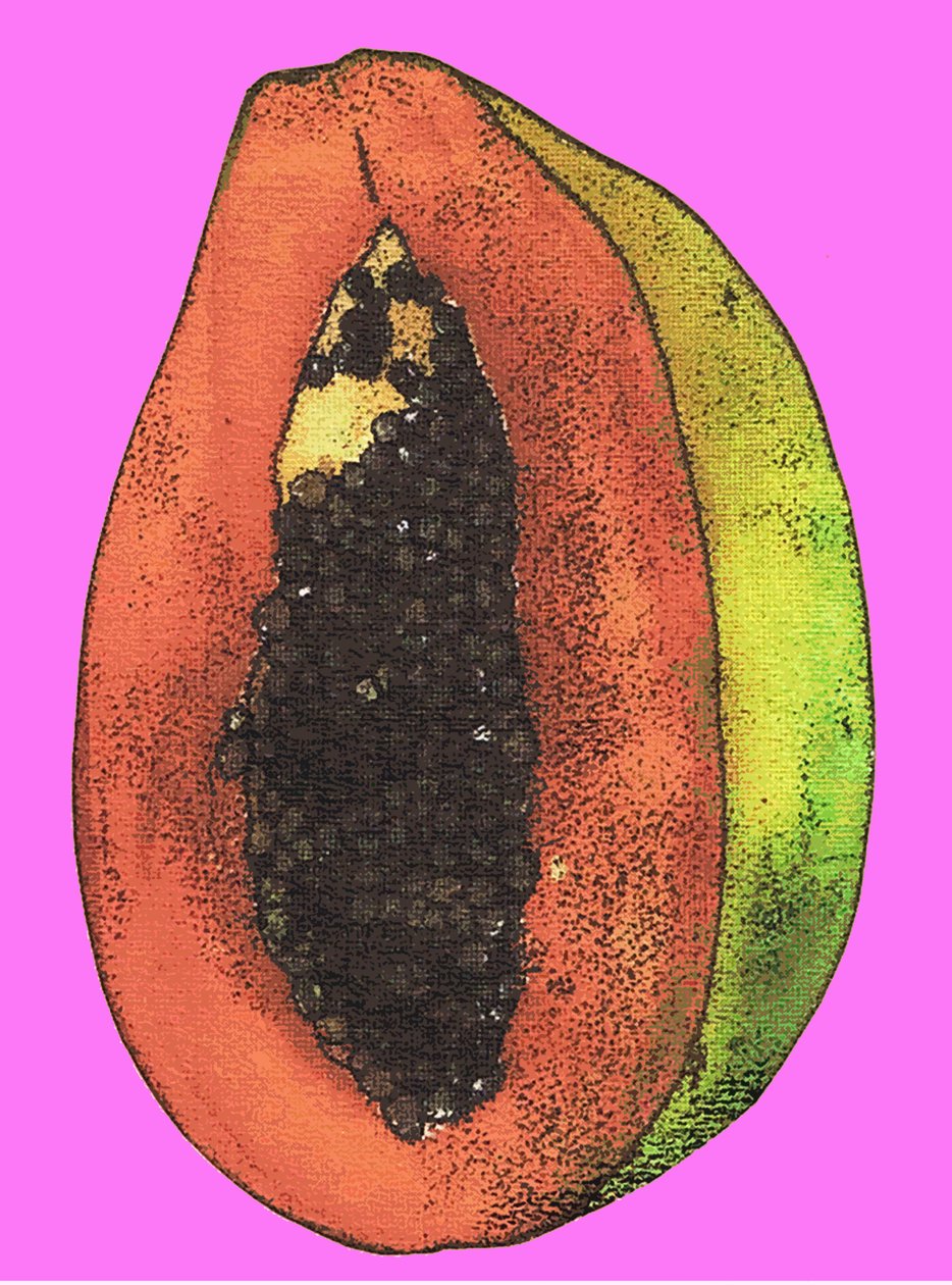 Papaya, 2009 de Sarah Thompson Engels