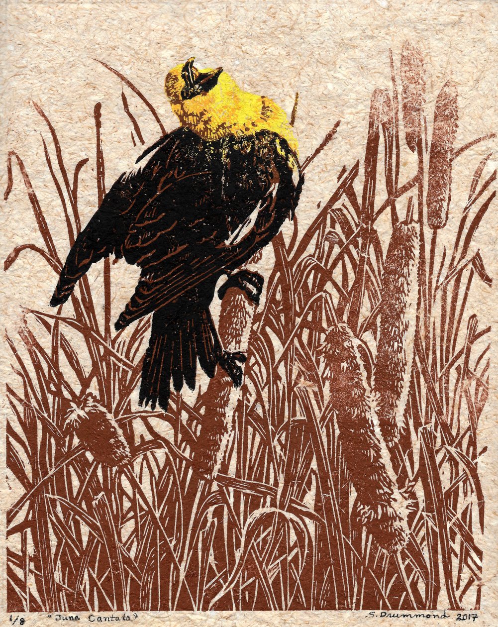 Cantata de la espadaña, 2017 (linograbado) de Sarah Drummond