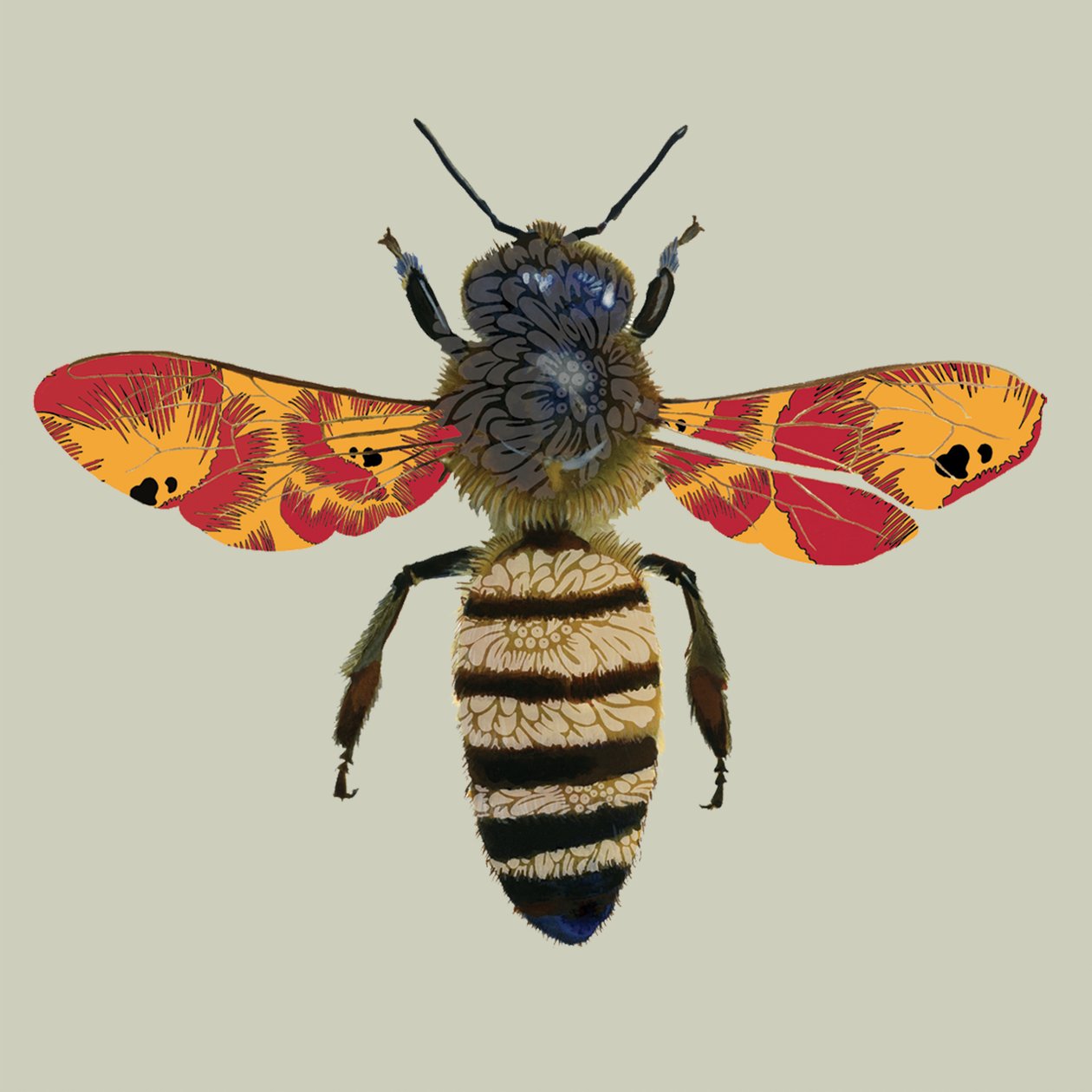 Abeja, 2010 de Sarah Hough