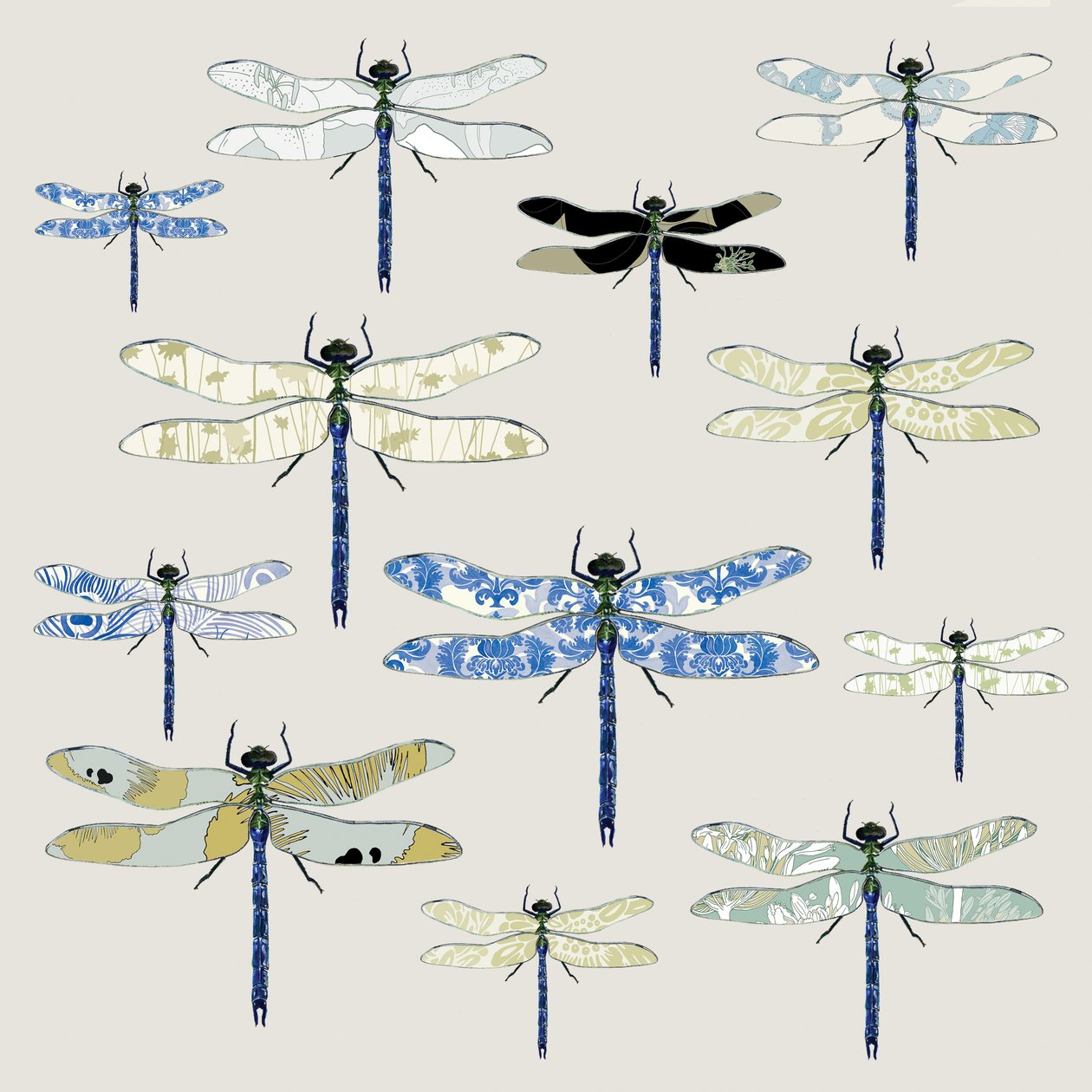 Odonata, 2008 de Sarah Hough