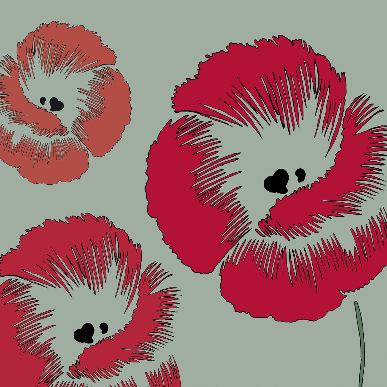 Picnic Poppy, 2005 de Sarah Hough