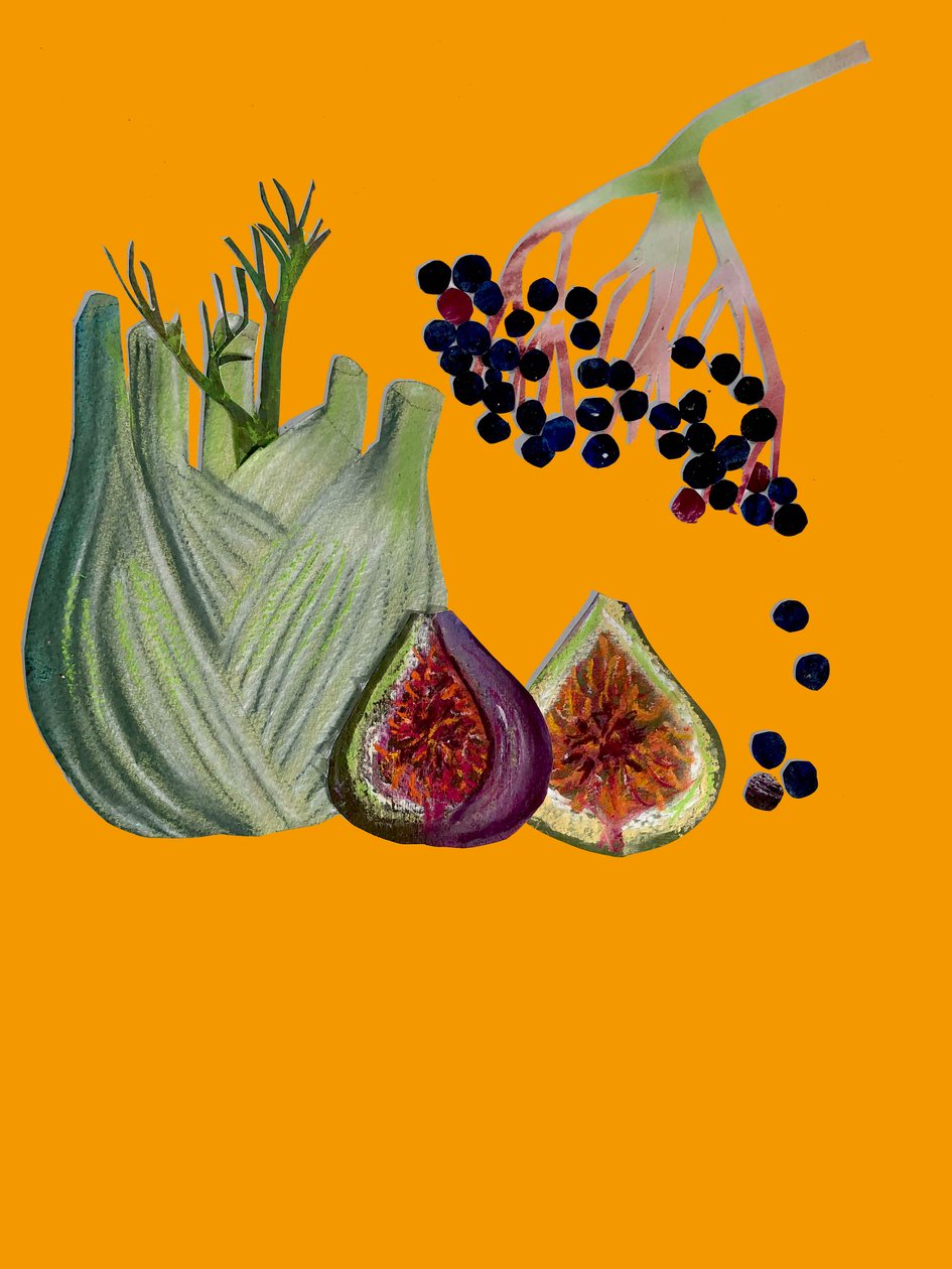 Frutas y verduras recortadas de Sarah Thompson Engels