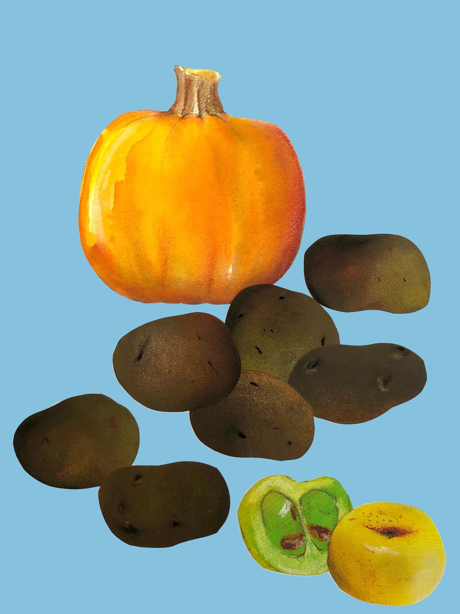 Frutas y verduras, 2020 de Sarah Thompson Engels