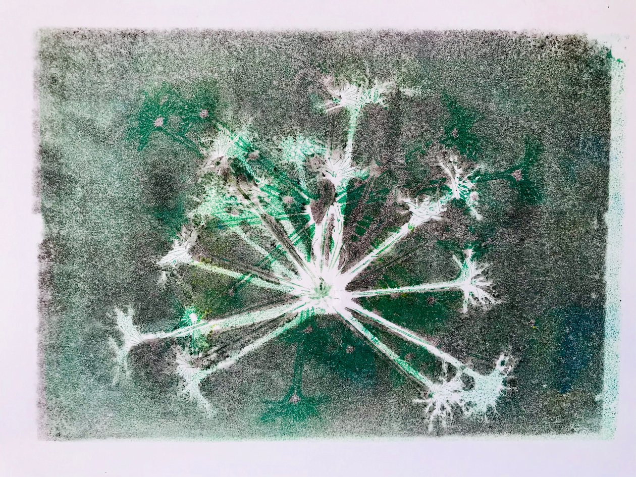 Cabeza de semilla I de Sarah Thompson Engels