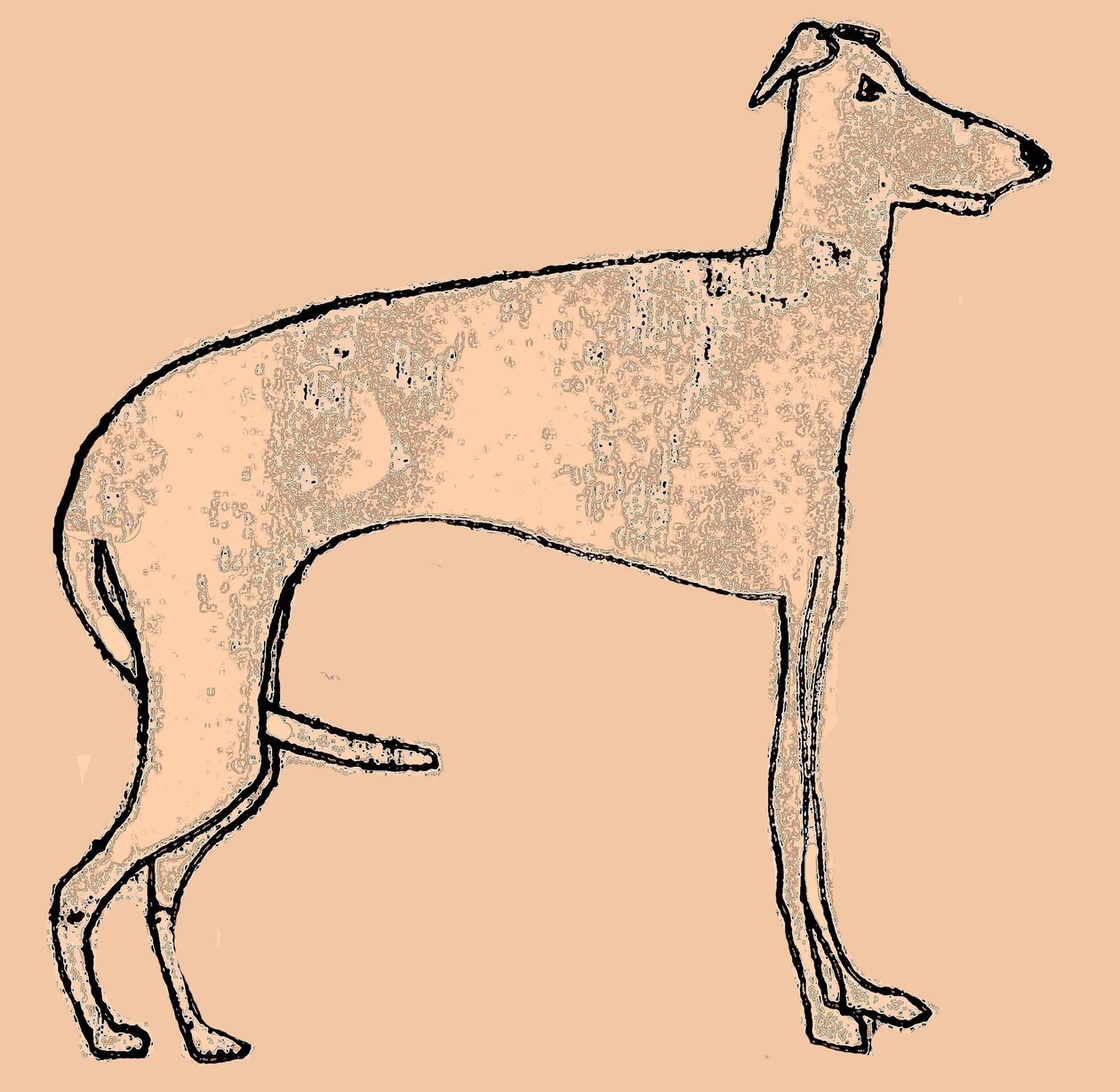 Perro Flaco de Sarah Thompson Engels