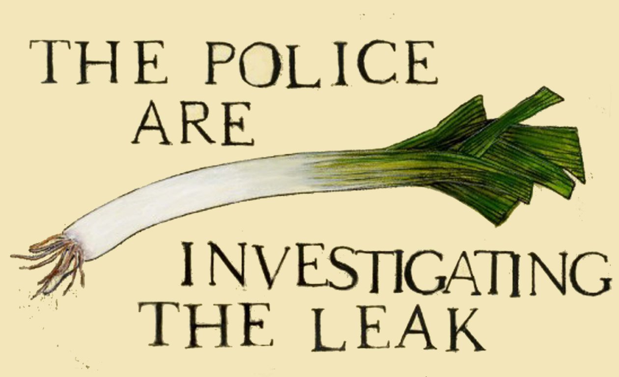 La policía está investigando la fuga de Sarah Thompson Engels