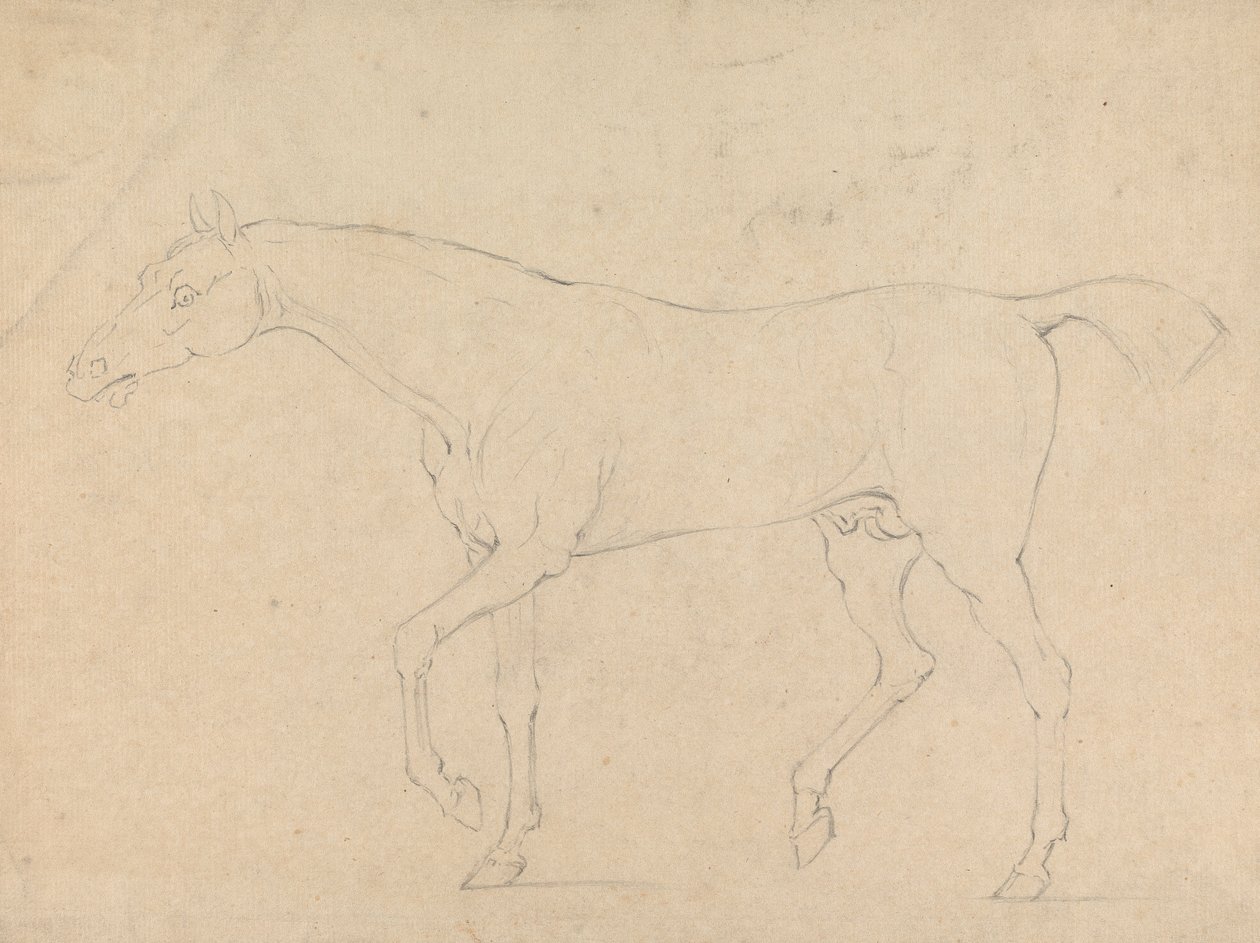 Un Caballo de Sawrey Gilpin