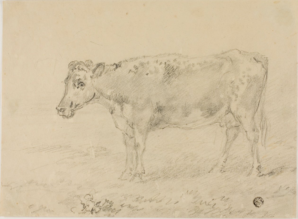 Vaca de Sawrey Gilpin