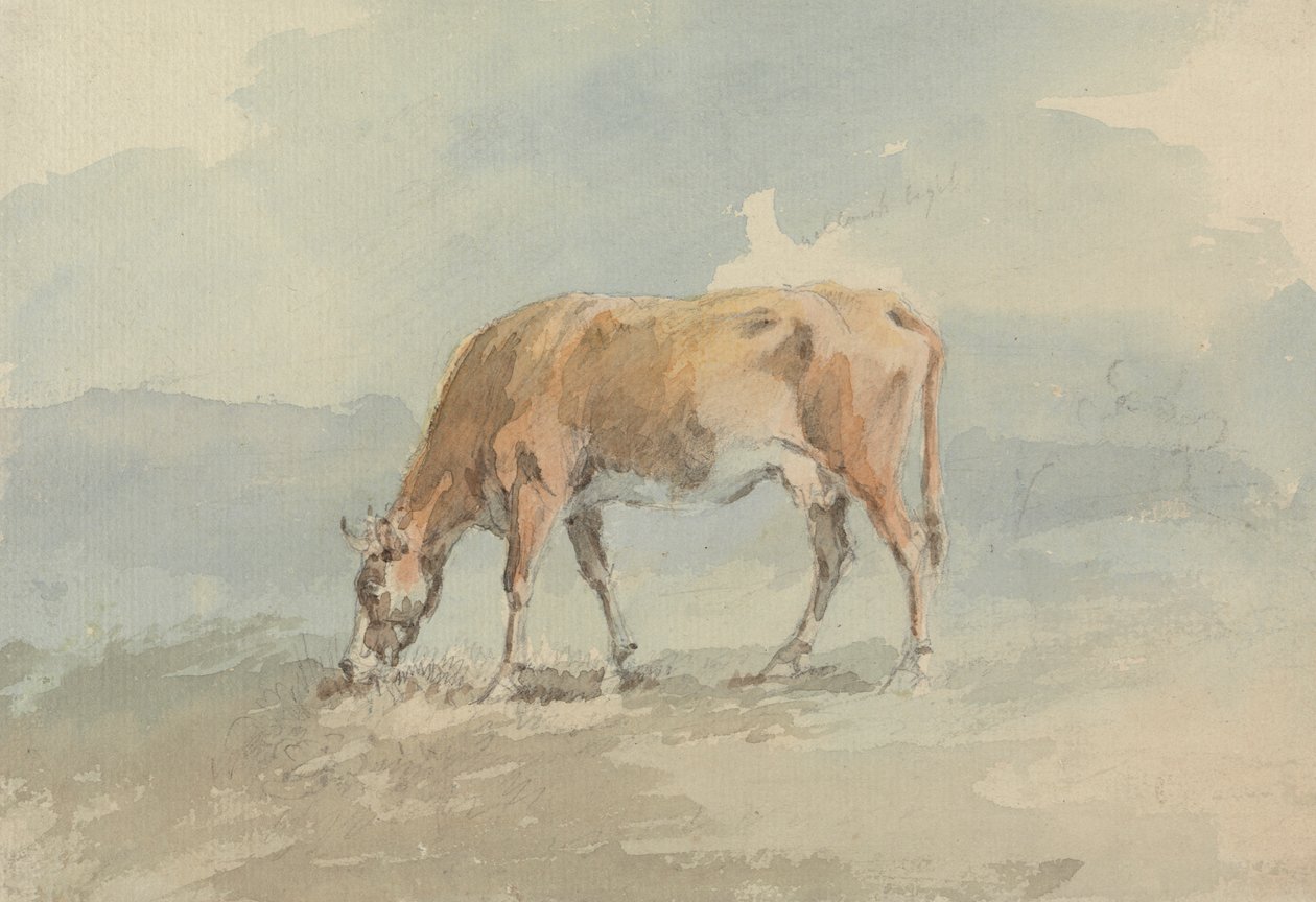 Pastoreo de vacas de Sawrey Gilpin