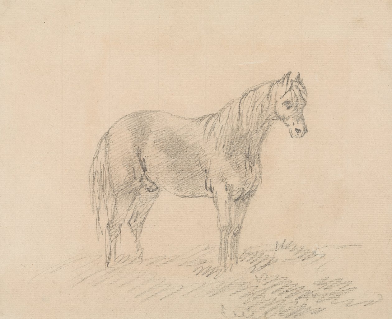 Caballo macho de Sawrey Gilpin