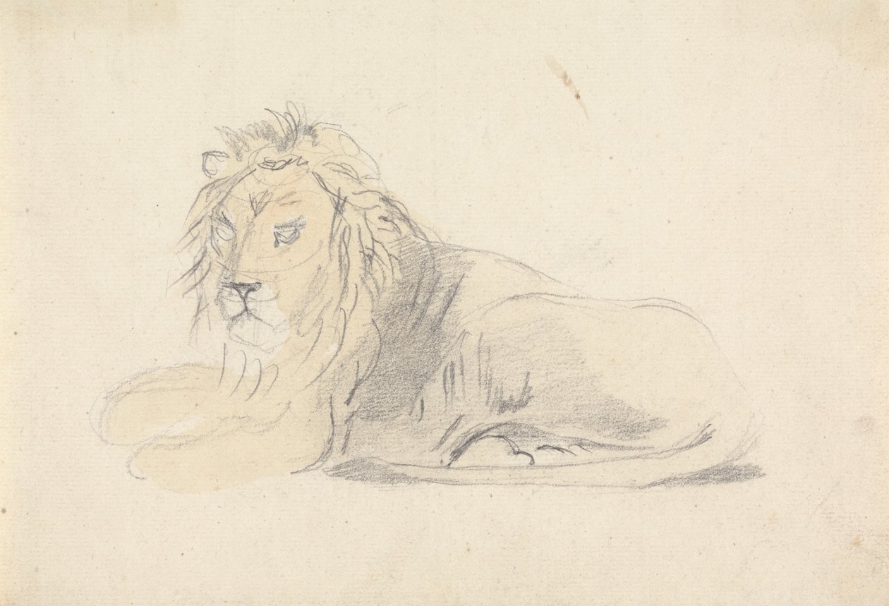 Estudio de un león de Sawrey Gilpin
