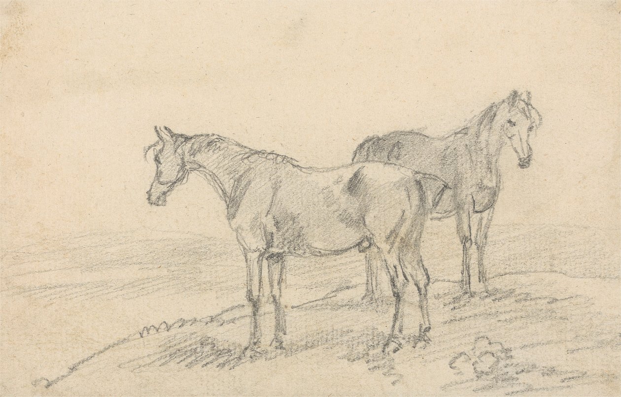 Dos caballos de Sawrey Gilpin