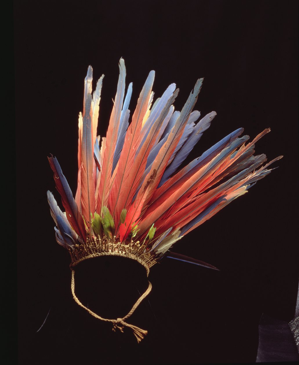Tocado, antes de c.1853 (fibra y plumas) de School Brazilian