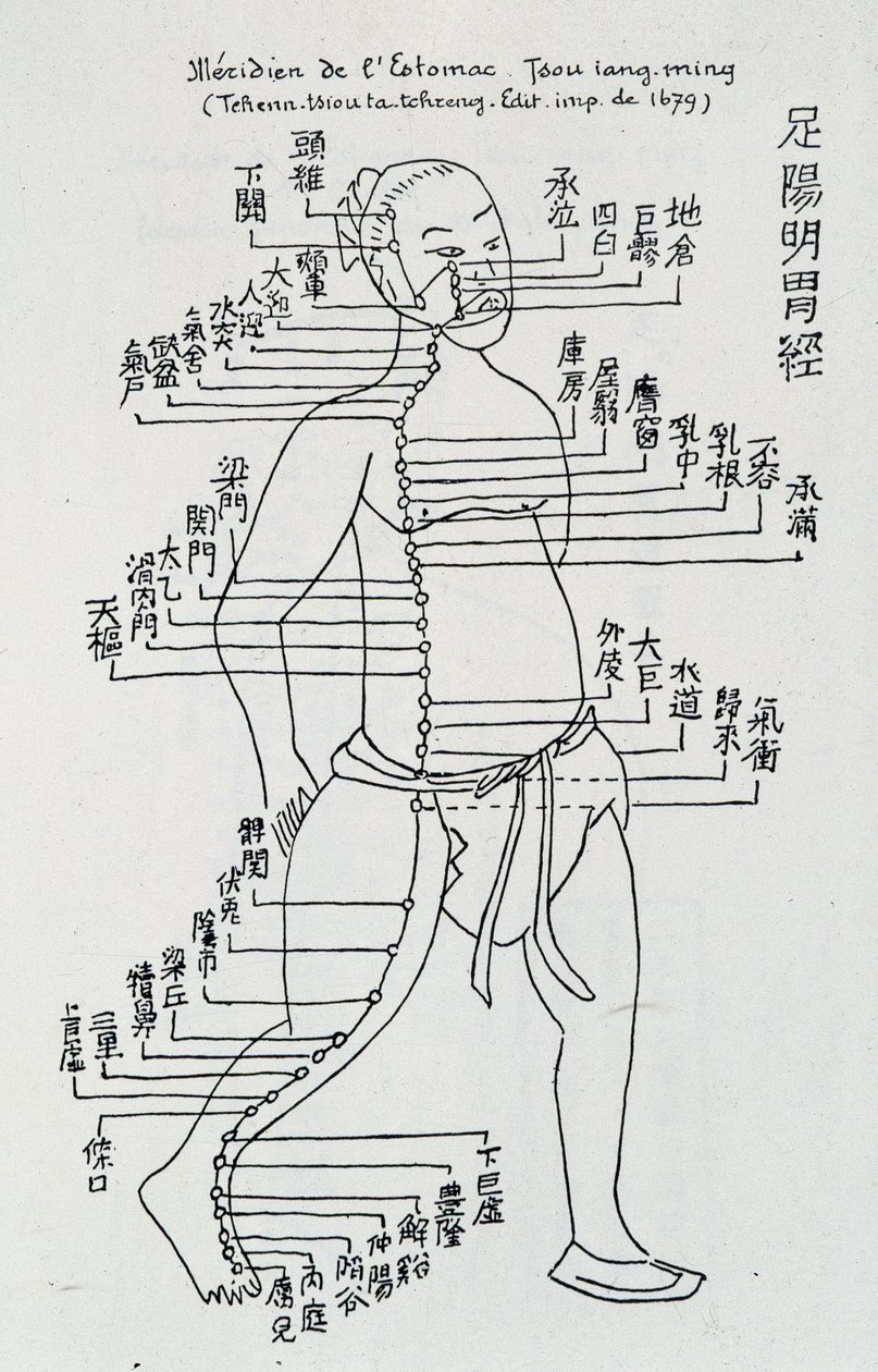 Acupuntura: "Meridiano del estómago" de School Chinese