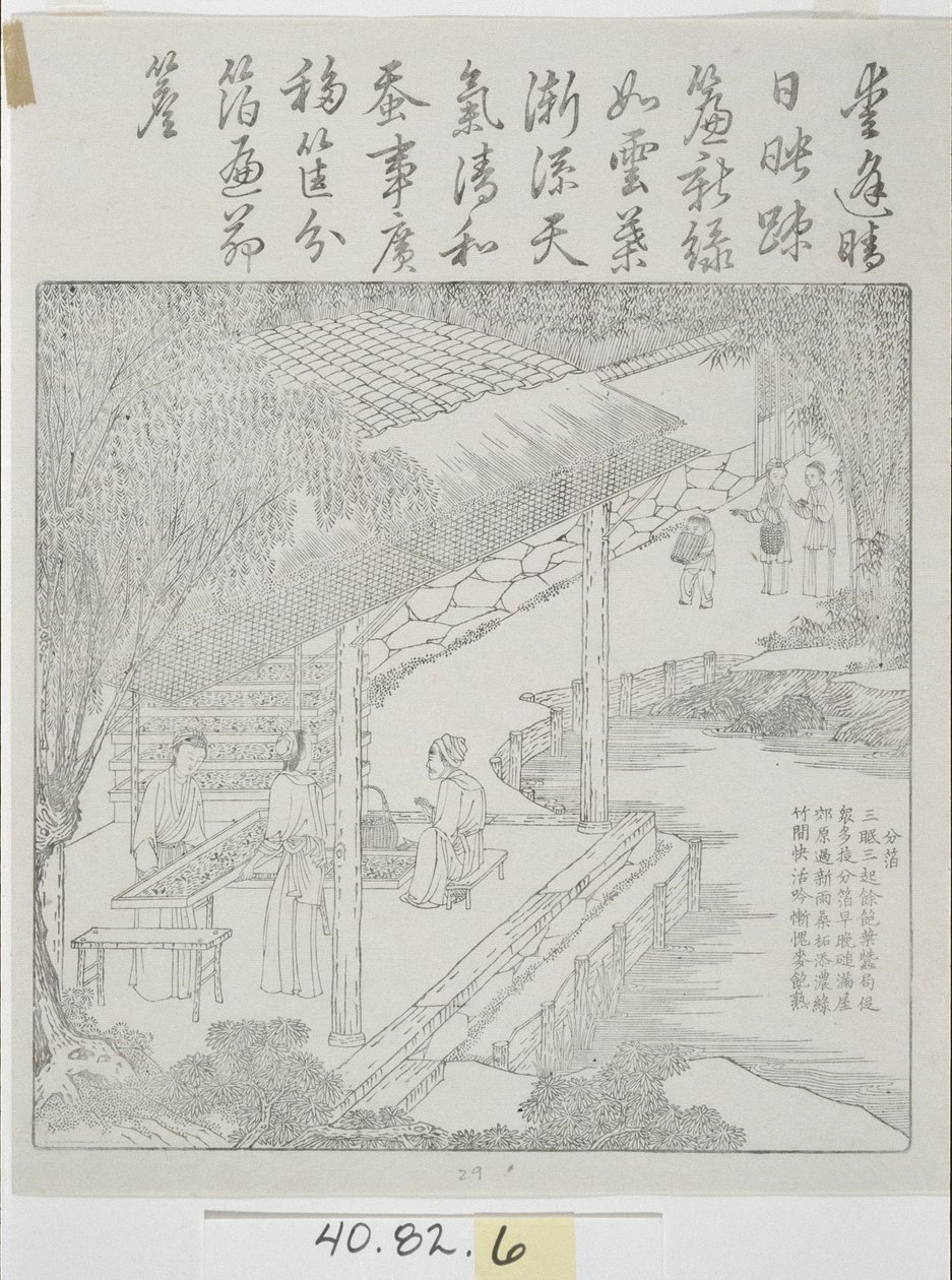 Conjunto de xilografías, Cultura de la seda de School Chinese