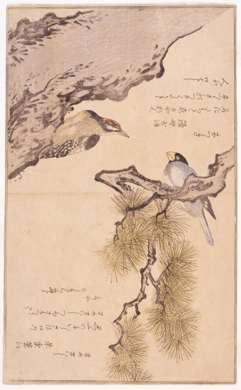 Dos pájaros en un árbol de School Japanese