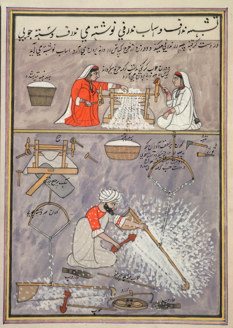 trabajar con algodon de School Persian