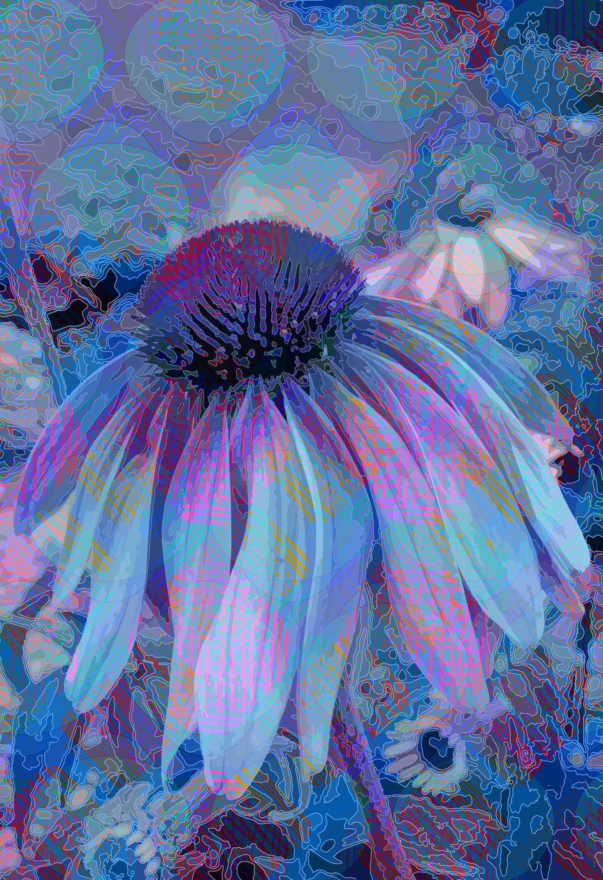Flor de cono de Scott J. Davis