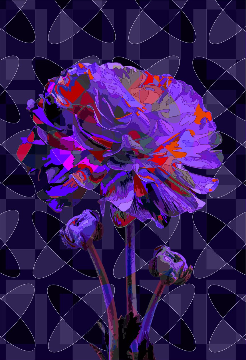 Clavel2, 2019 de Scott J. Davis