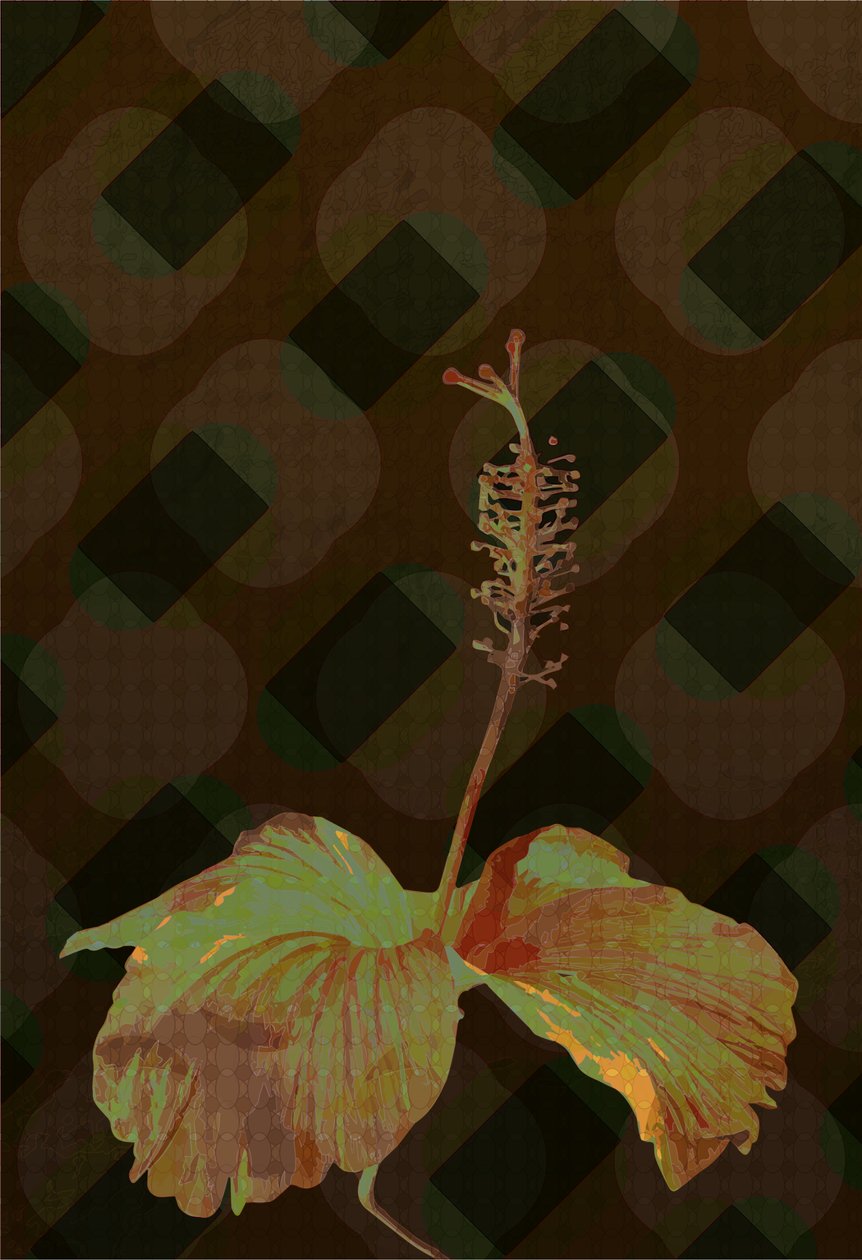 Hibiscus,2 2019 de Scott J. Davis