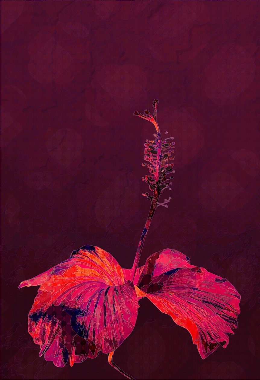 Hibiscus, 2019 de Scott J. Davis
