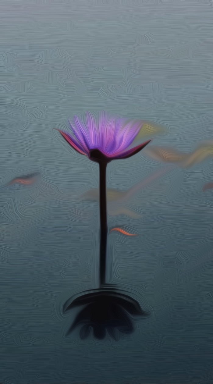 Lirio púrpura de Scott J. Davis