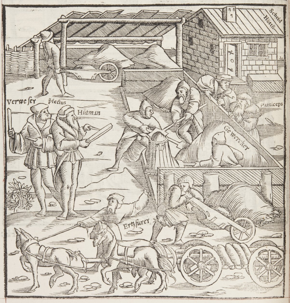 Cosmographia (detalle) de Sebastian Munster