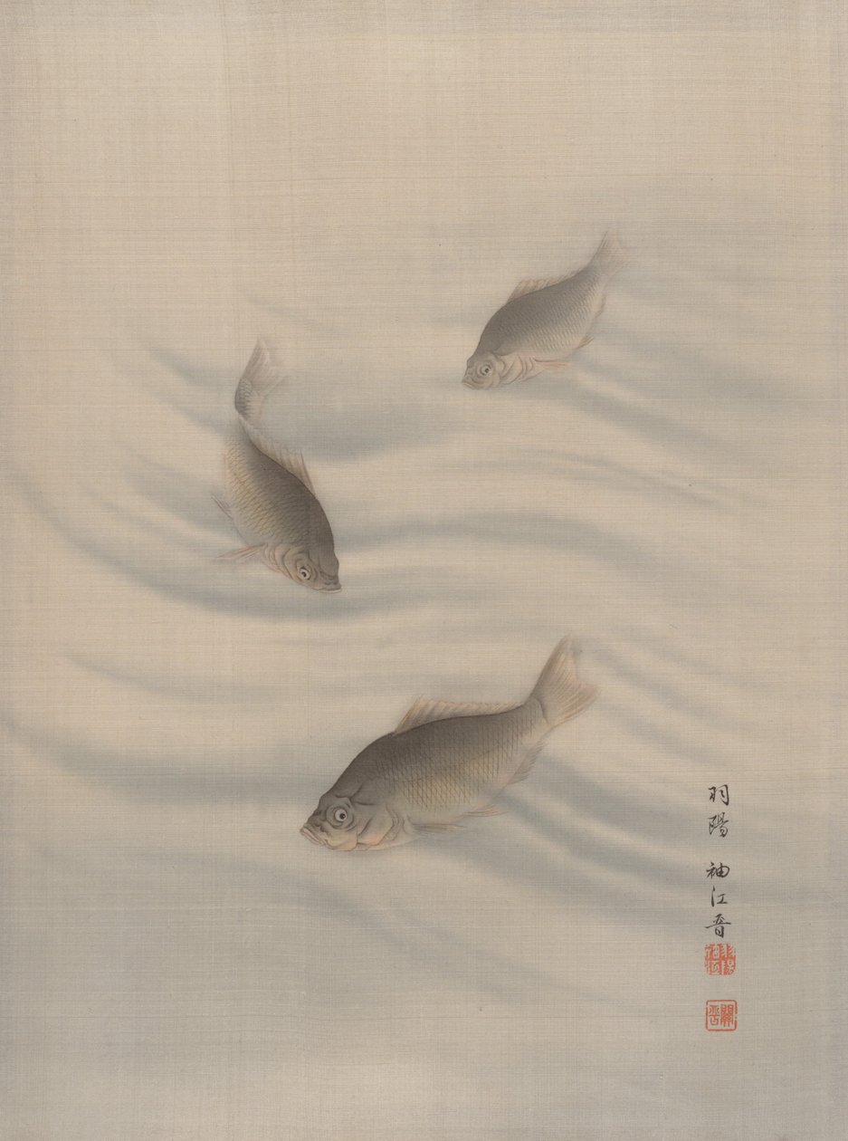 Peces Nadando, ca. 1890-92 de Seki Shuko