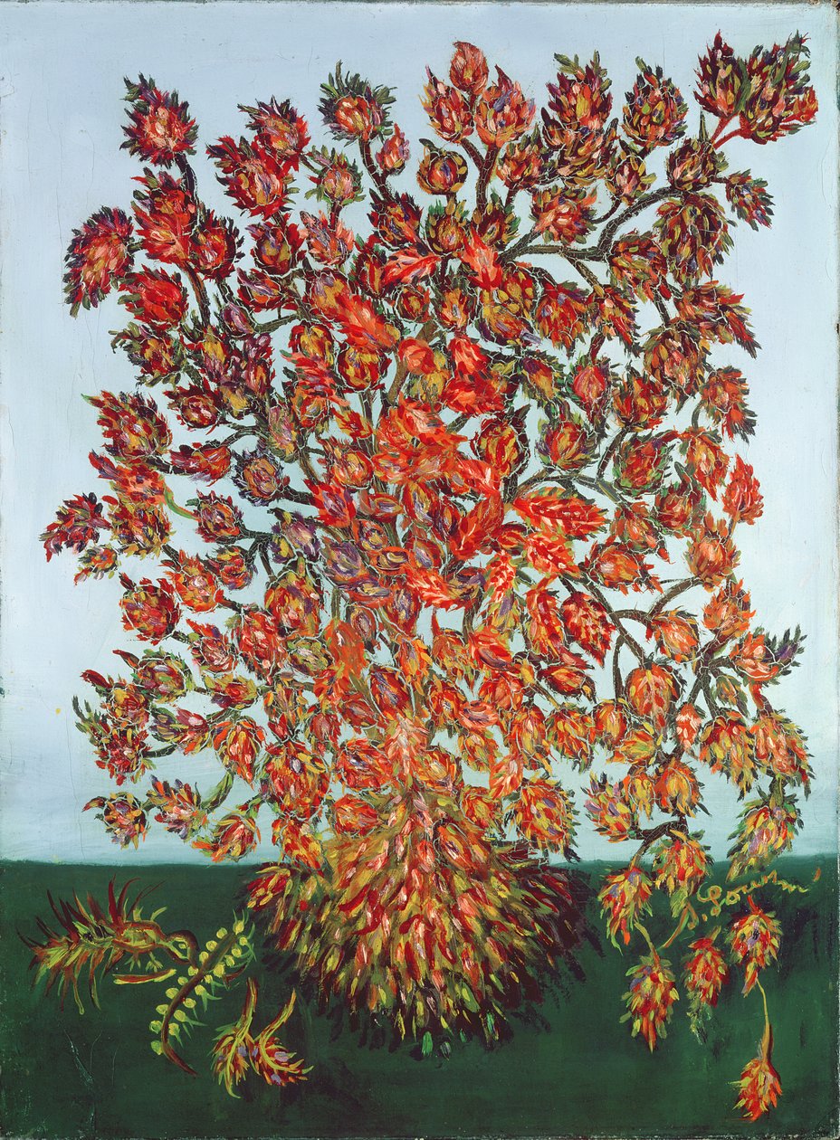 Sueño de una planta de Seraphine de Senlis