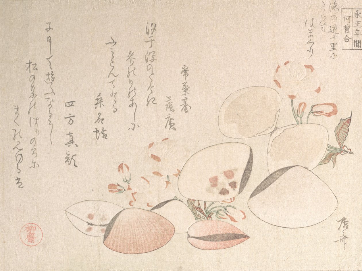 Flores de cerezo y conchas, siglo XIX de Shinsai