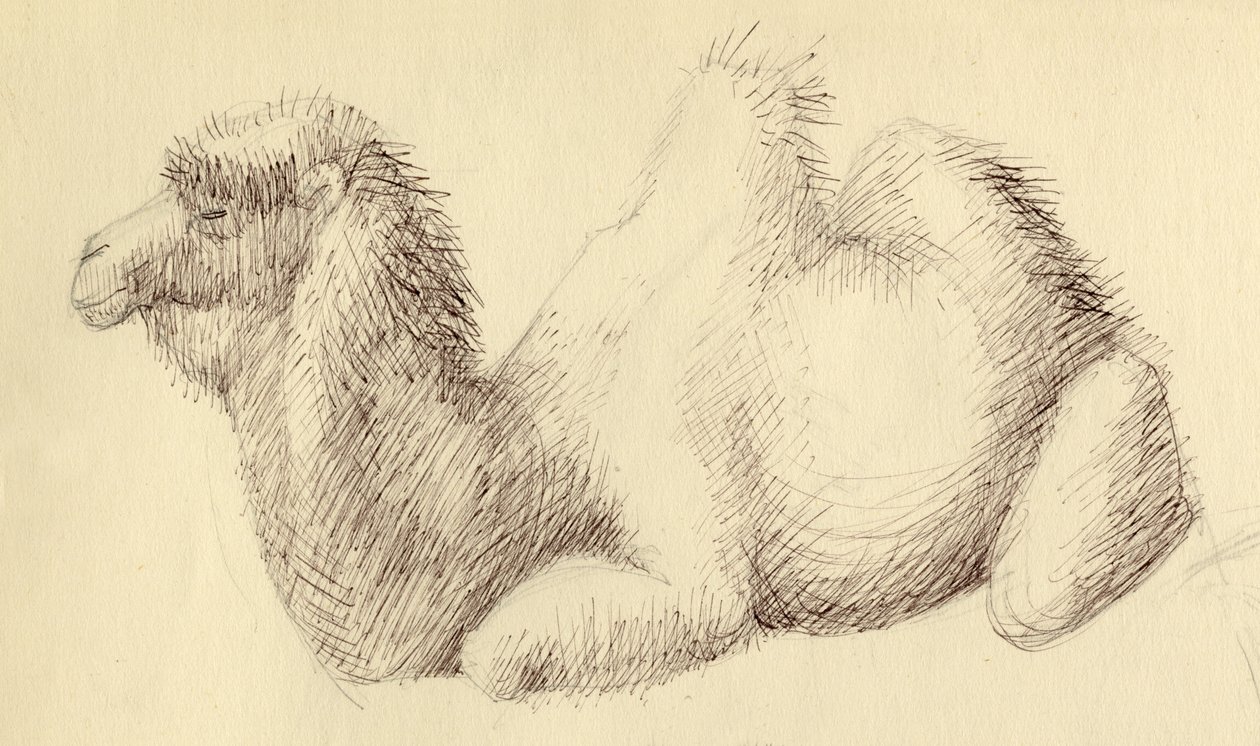 Camello, c. 1951 de Shirley Markham
