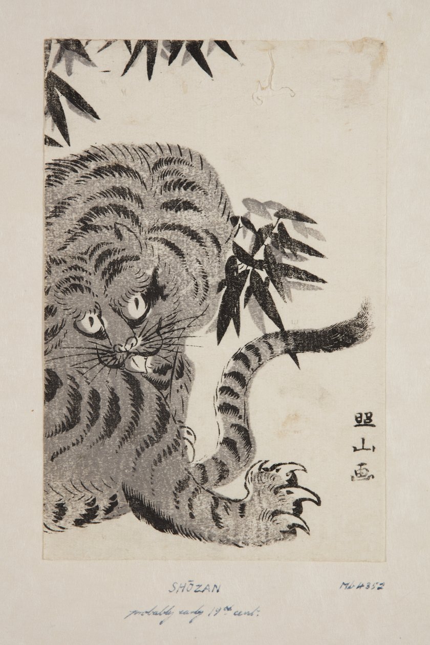 Tigre de Shozan Shozan
