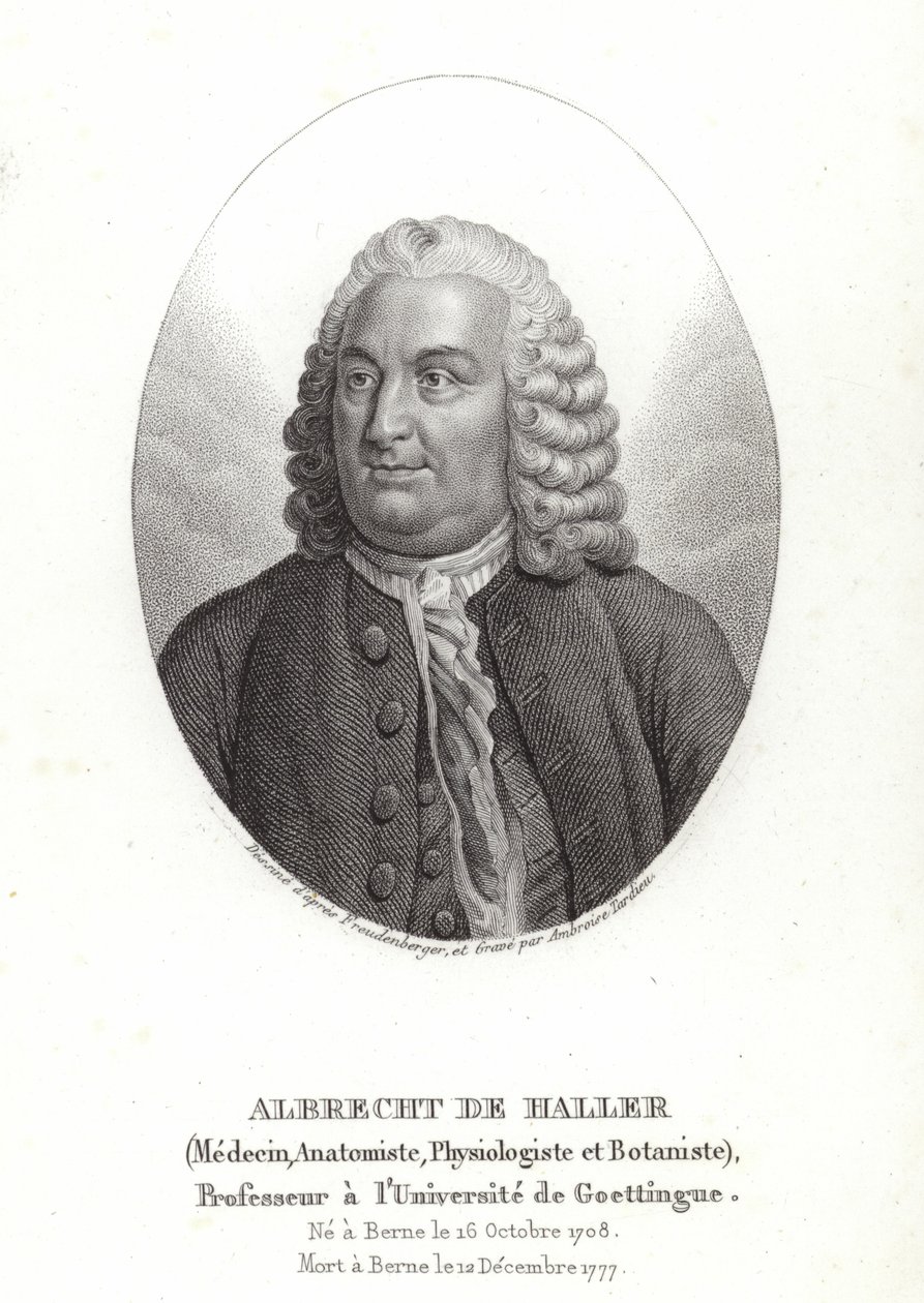 Albrecht von Haller de Sigmund Freudenberger