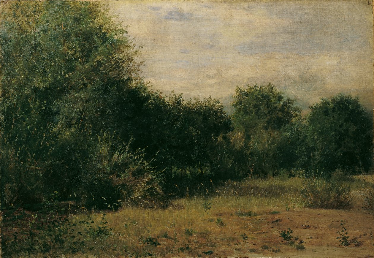 estudio del paisaje de Sigmund L