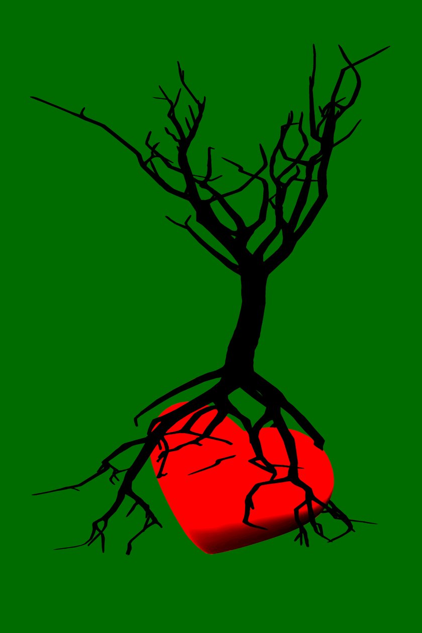 Corazón del árbol de Silvia Martini