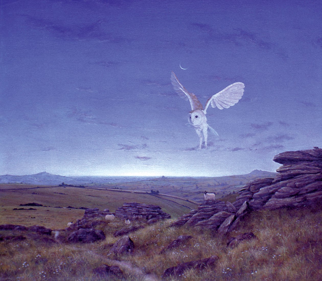 Los moros de Simon Cook