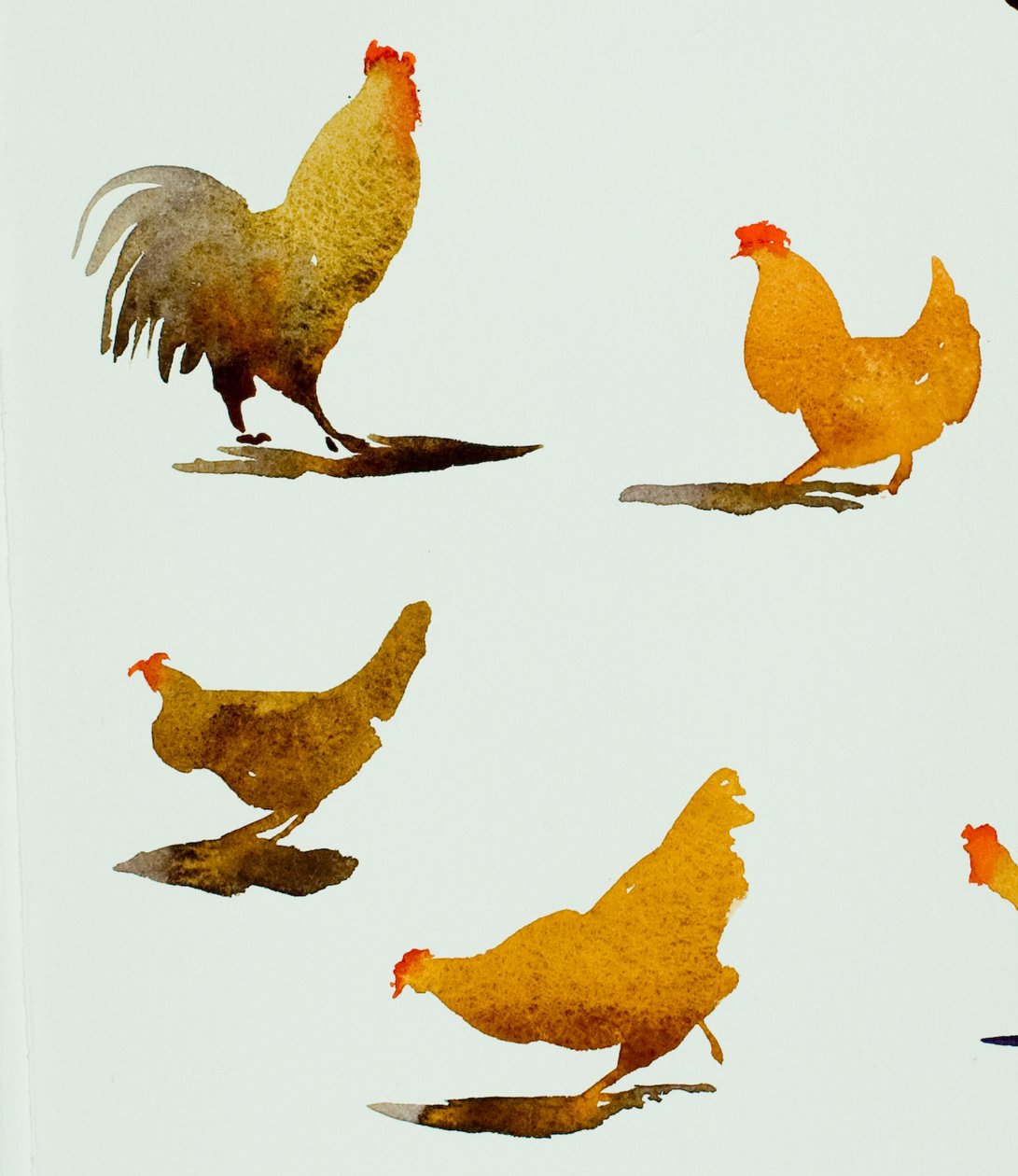 Gallo y tres gallinas, 2013 (acuarela) de Simon Fletcher
