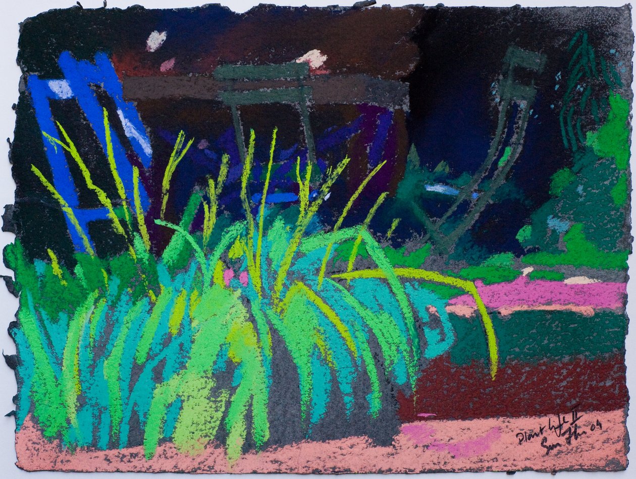 Vida vegetal (pastel sobre papel) de Simon Fletcher