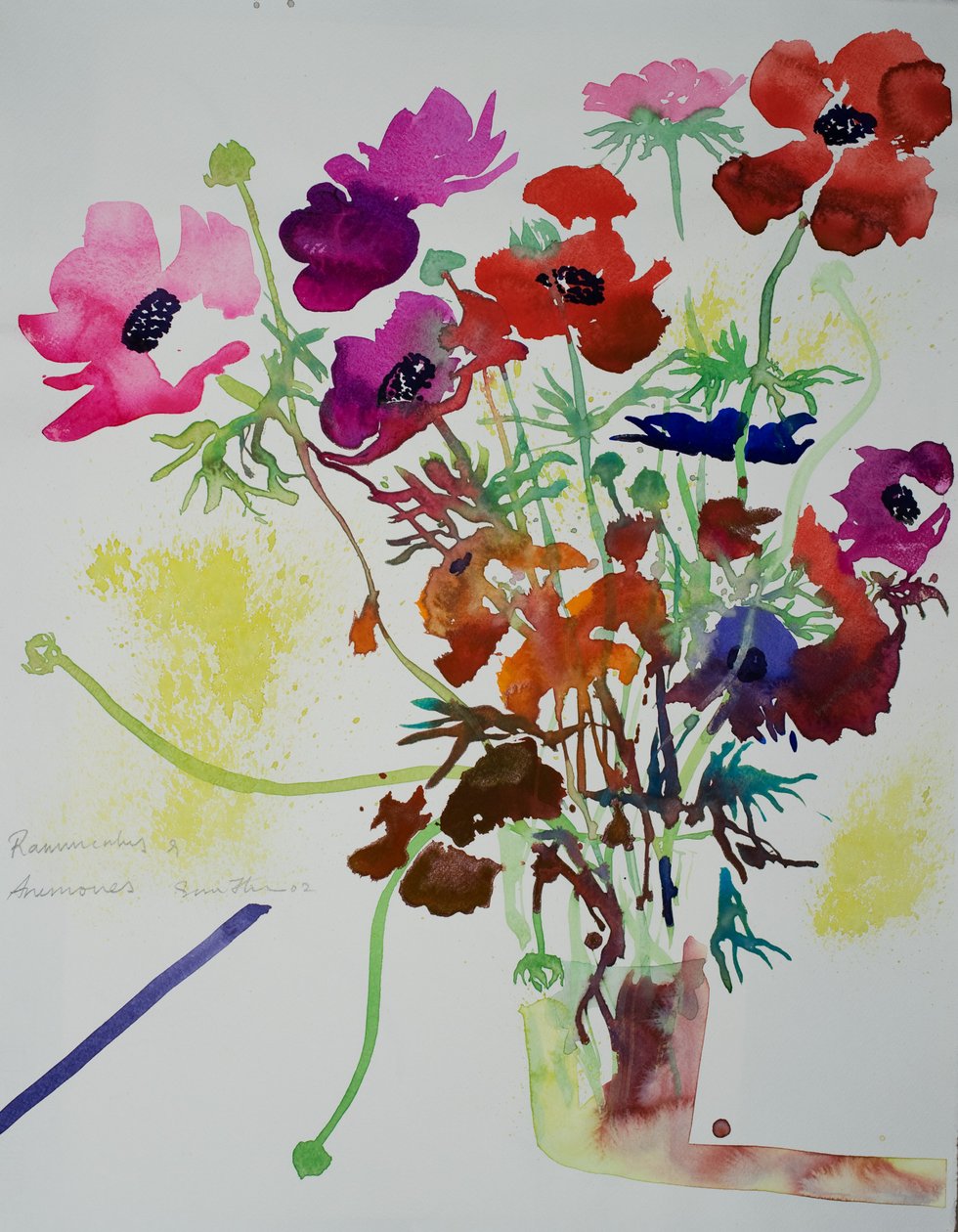 Ranúnculos y anémonas, 2010 (acuarela) de Simon Fletcher