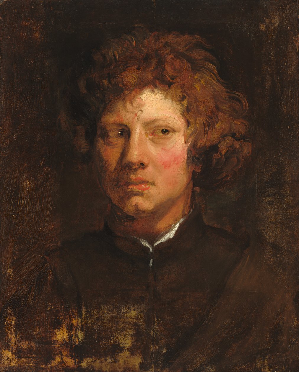Cabeza de un joven de Sir Anthony van Dyck