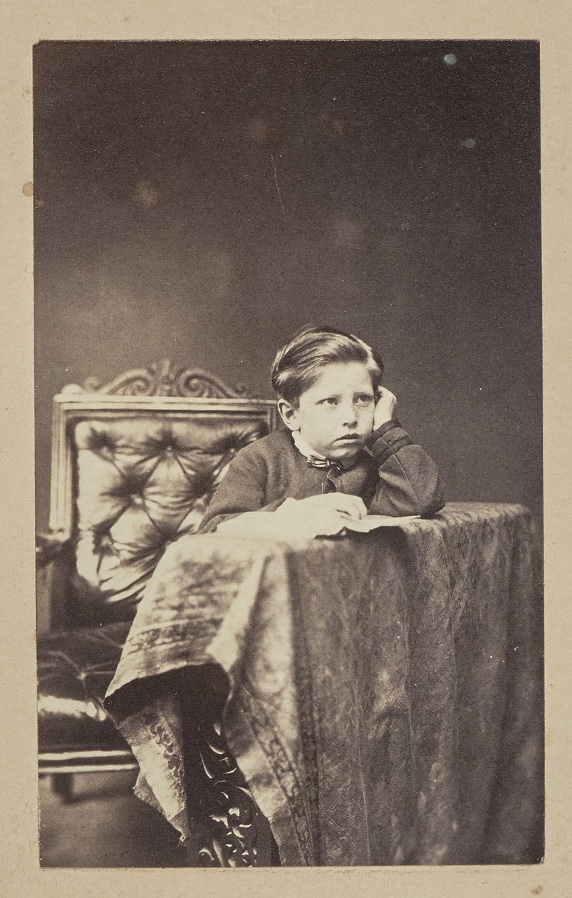 [Retrato de un joven] de Sir John Joscelyn Coghill