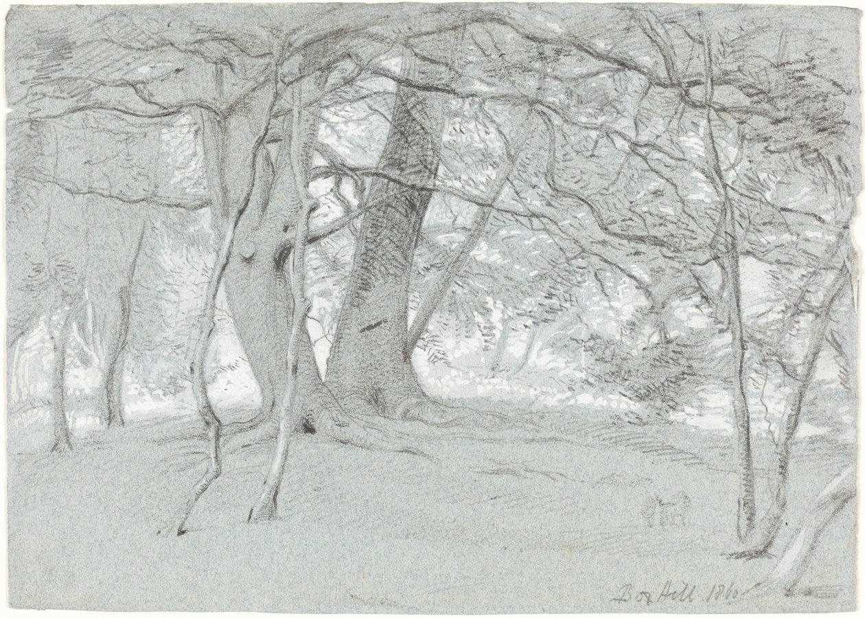 Árboles en Box Hill de Sir William Blake Richmond