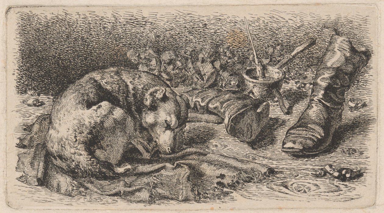 Perro dormido junto a un par de botas de Sixt Thon