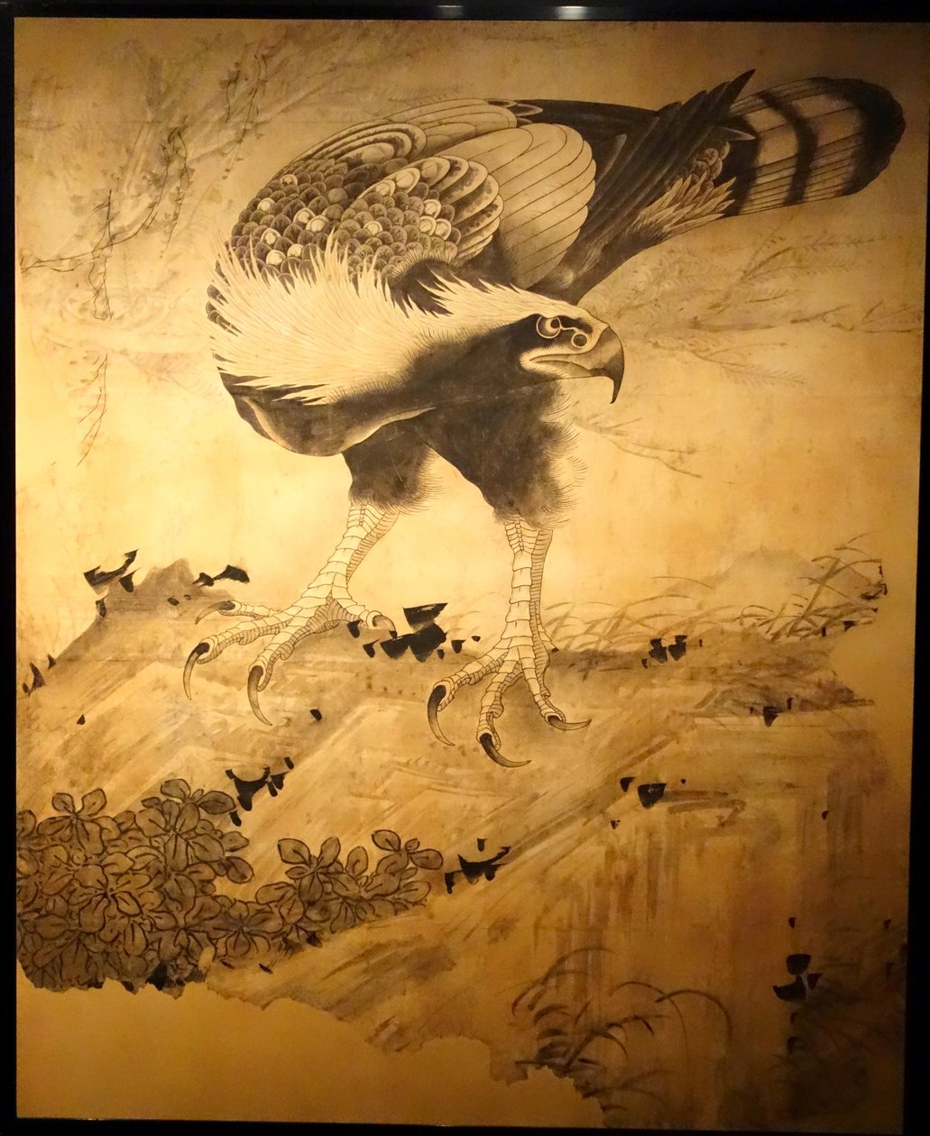 Halcón de Soga Shohaku