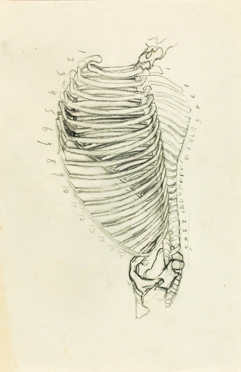 Anatomía de Solon H. Borglum