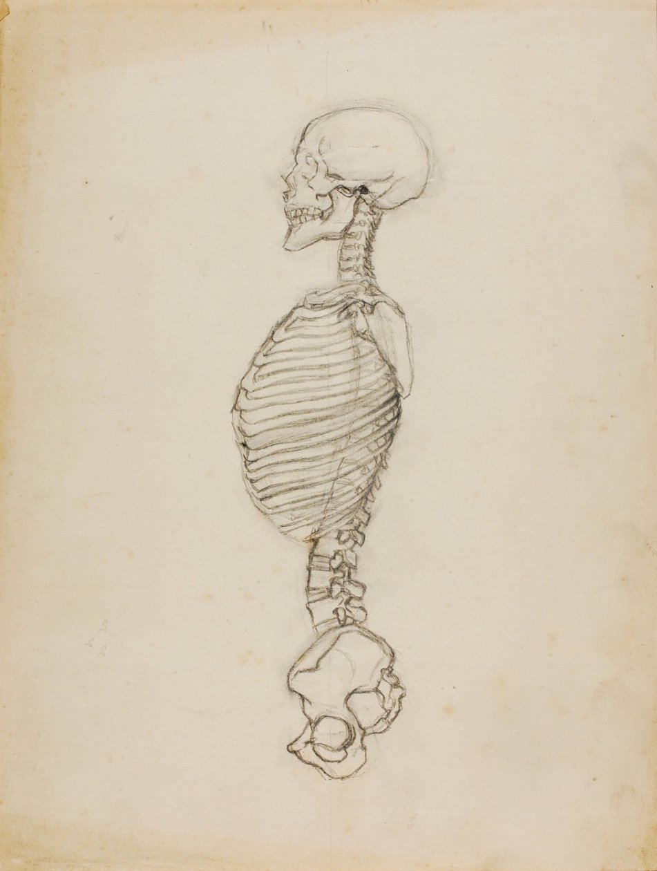 Anatomía de Solon H. Borglum