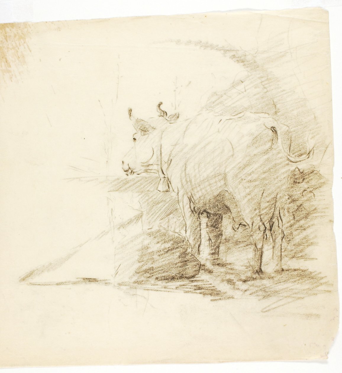 Vaca de Solon H. Borglum
