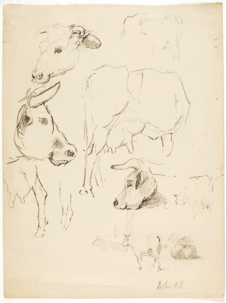 Vacas de Solon H. Borglum